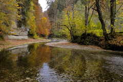 Herbstwald - Schwarzwasser